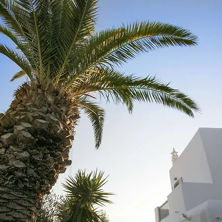 Anna-maria Mykonos 3* グラストロス