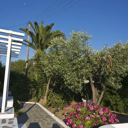 酒店 安娜玛丽亚米科诺斯公寓 3*